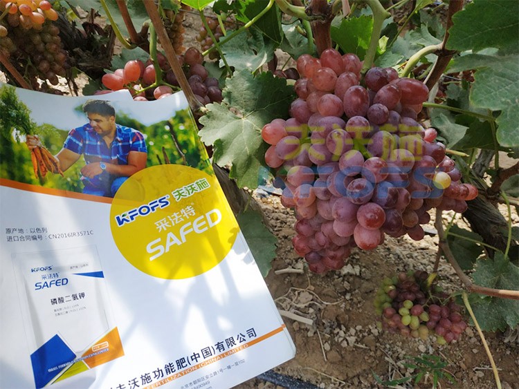 磷酸二氫鉀為什么都說粉劑的好？