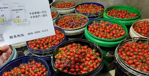 夫沃施進口肥怎么樣？