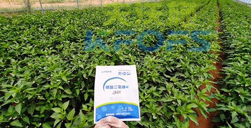磷酸二氫鉀不好用？那是因為沒選對！