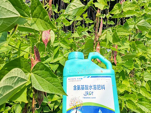 進(jìn)口水溶肥，懂行的人都這么選！