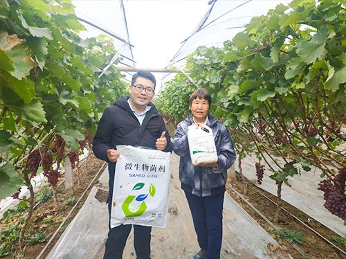 水溶肥廠家夫沃施都說(shuō)好？好在哪？