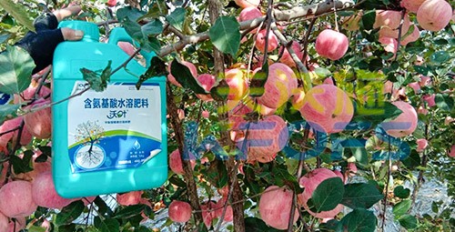 沖施肥怎么去沖施？什么牌子的好？