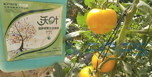 水溶肥的作用，不得不說太強(qiáng)大了！