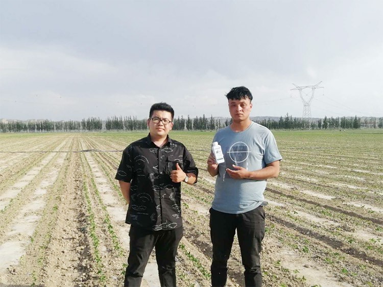 藥害還能恢復(fù)生長(zhǎng)嗎？這篇告訴你！