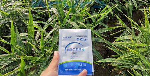 磷酸二氫鉀選這個品牌，不會錯！