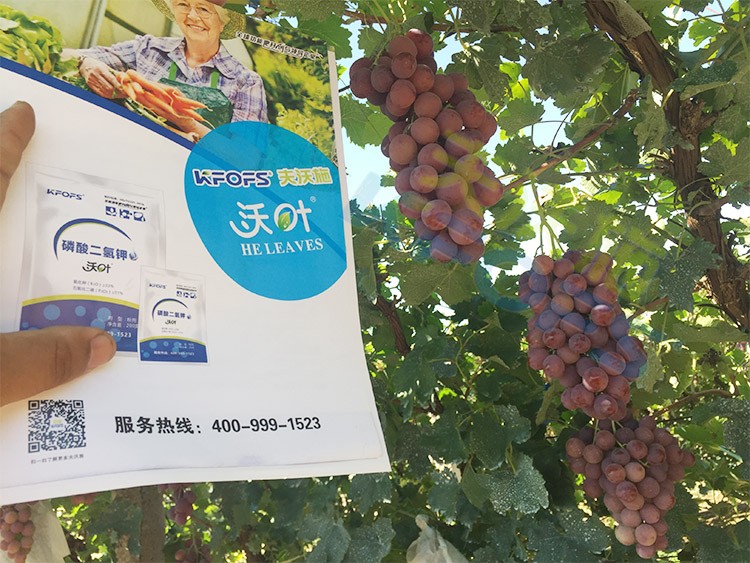 進口磷酸二氫鉀和國產(chǎn)有什么區(qū)別？