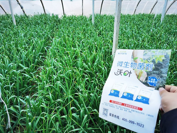 微生物菌劑選它，放心又舒心！
