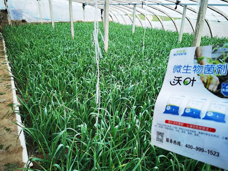 微生物菌劑選它，放心又舒心！