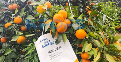 柑橘專(zhuān)用肥選采法特，就是不一樣！