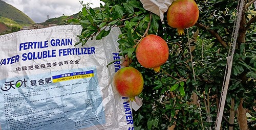 石榴施肥用什么肥料效果好？