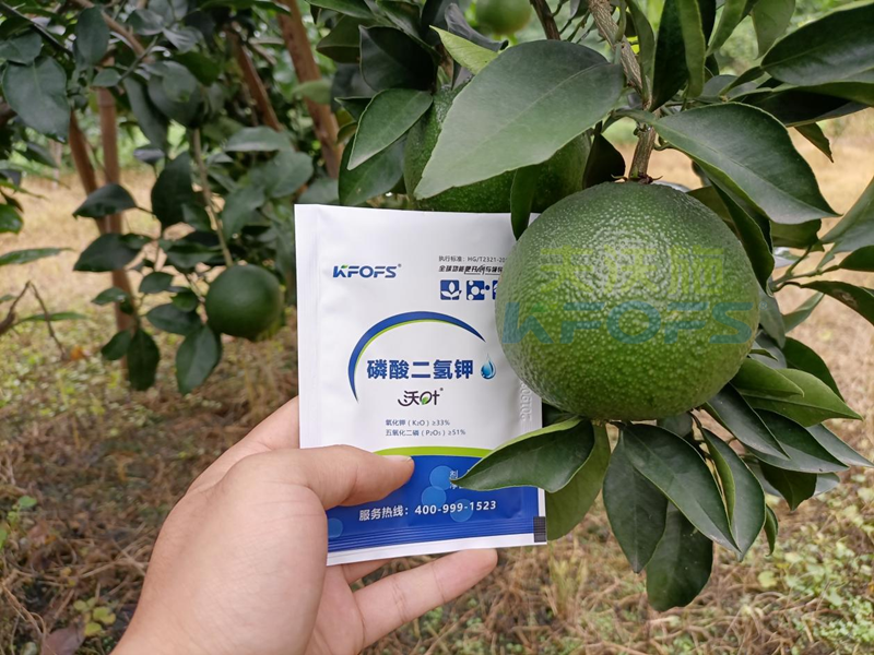 磷酸二氫鉀在果樹上使用有什么好處？