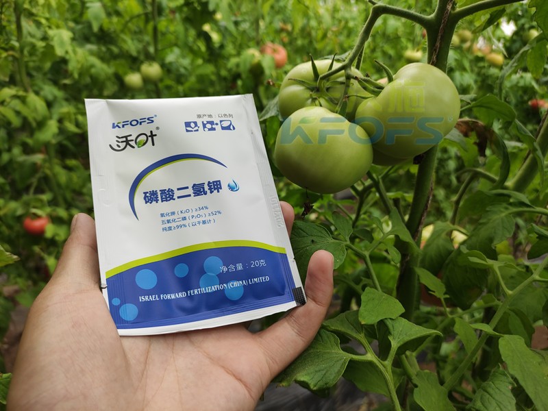 葉面肥磷酸二氫鉀，竟然這么好用！