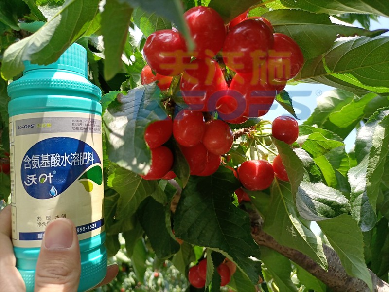 這款水溶肥，種植戶都愿意長(zhǎng)期使用！