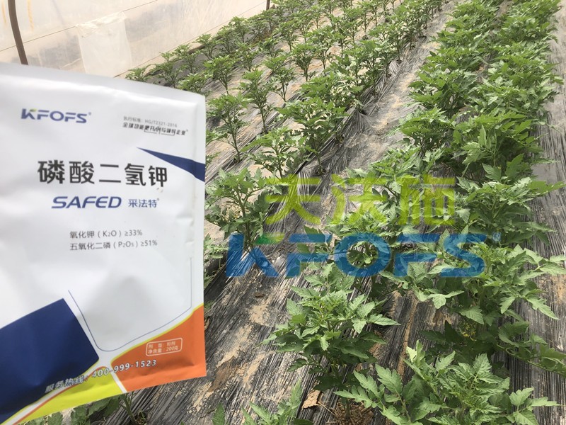 好的磷酸二氫鉀是什么樣的？