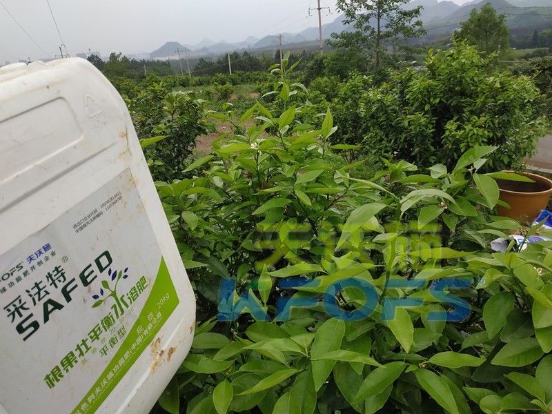 水溶肥的合理價(jià)格究竟如何判斷？這幾點(diǎn)很重要！