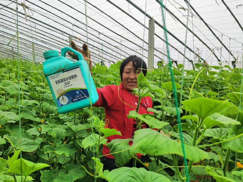 蔬菜沖施肥怕凍嗎？