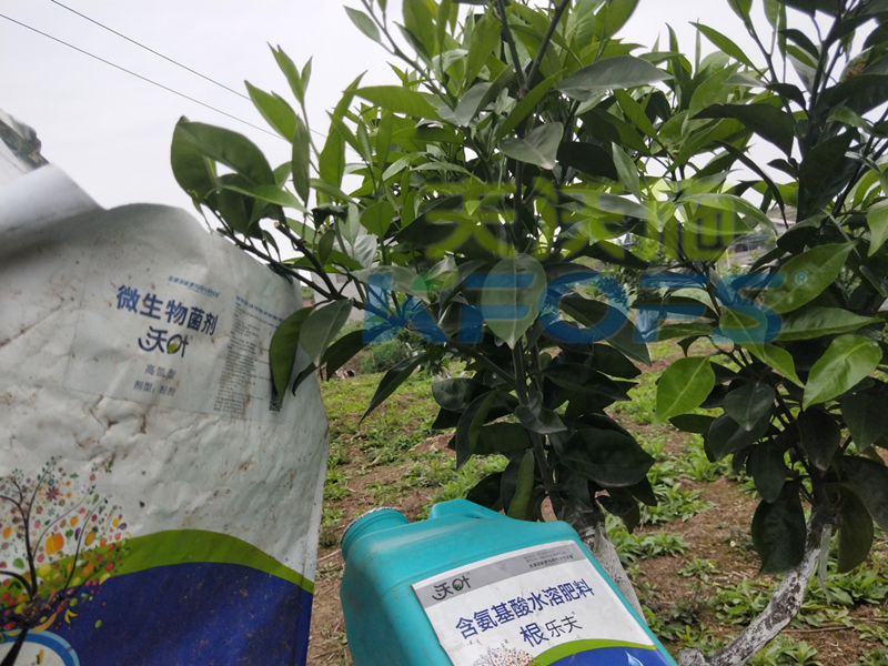 春季果樹(shù)用什么肥料好？看看您用對(duì)了嗎？