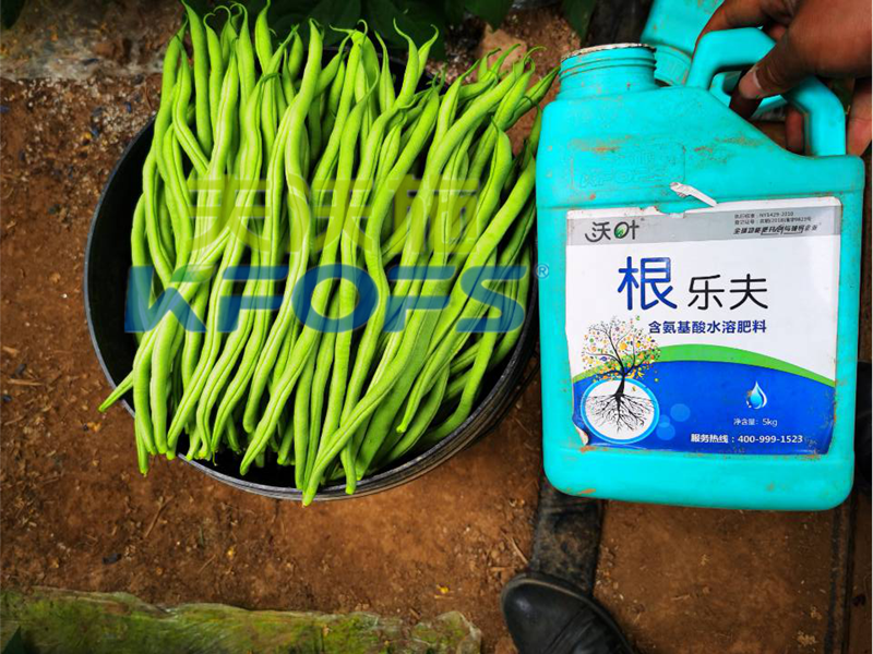 豆角用什么肥料產(chǎn)量高？效益好？