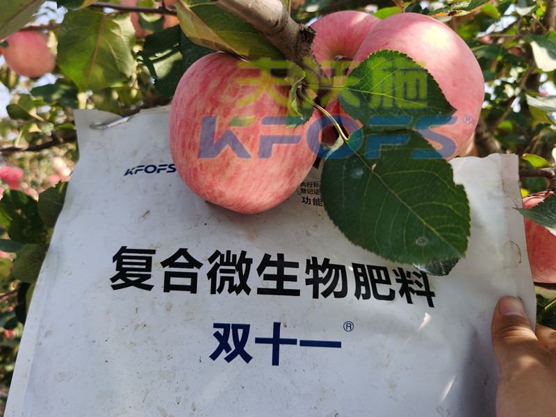 什么樣的水溶肥廠家值得客戶長(zhǎng)期跟隨？
