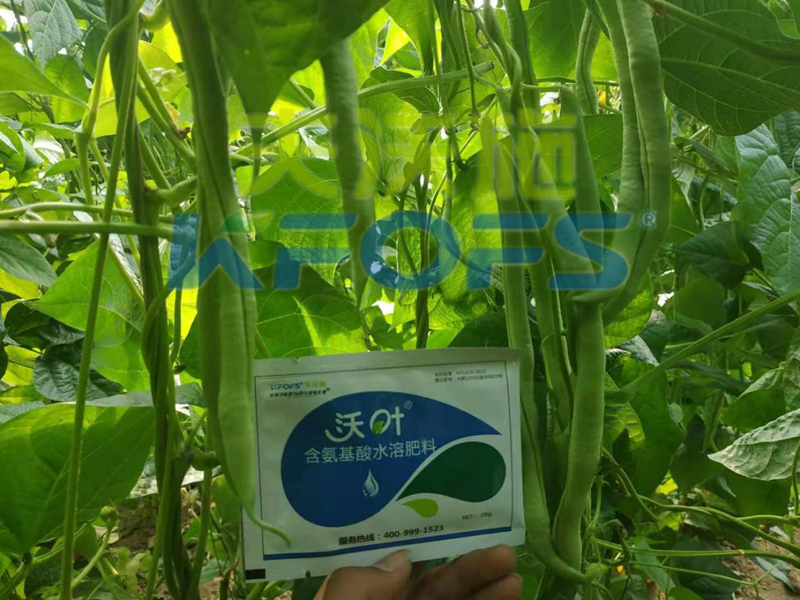 什么是含氨基酸水溶肥料，你選擇對(duì)了嗎？？？