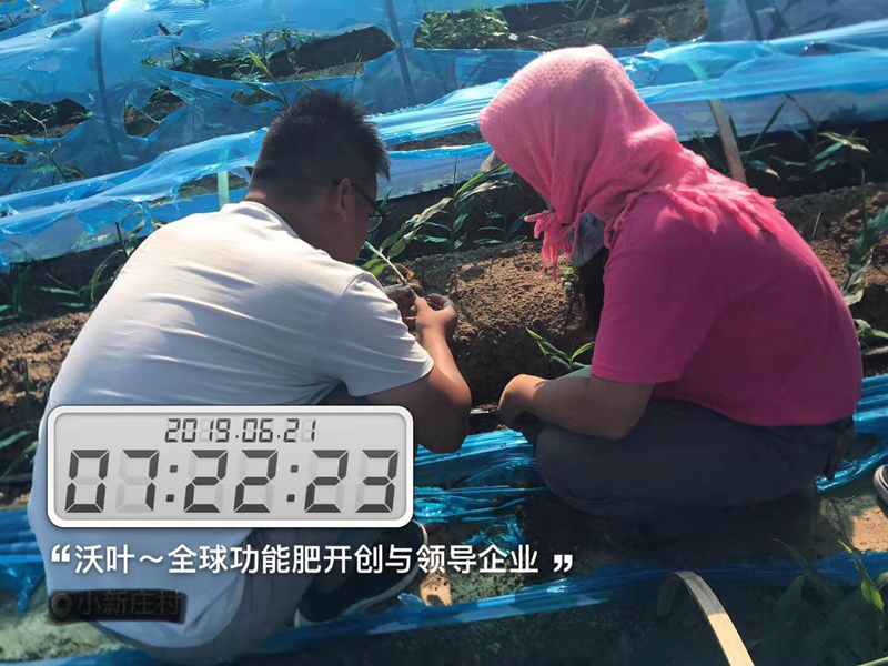 農(nóng)資銷售的堅硬壁壘將如何打破！.png