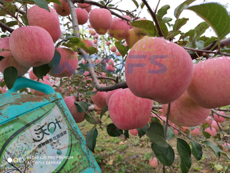 沖施肥價(jià)格高低對(duì)作物產(chǎn)值有影響嗎？