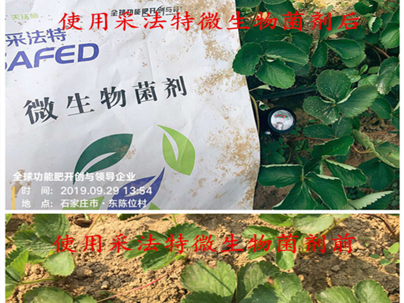 微生物菌劑為什么一定要用？如何選擇