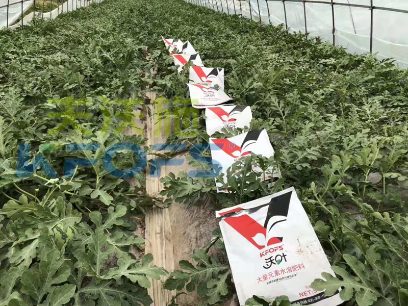 水溶肥品牌多？教你分類(lèi)選擇和使用