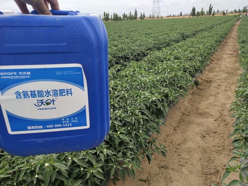 沖施肥的施用技巧有哪些？