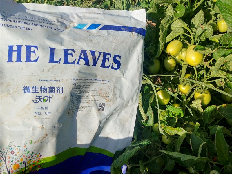 微生物菌劑價格差別為啥這么大？