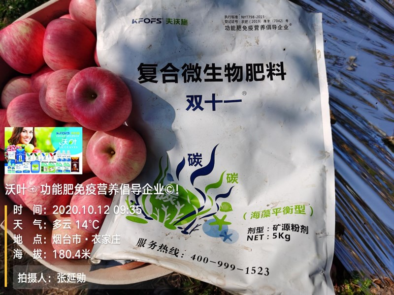 復合微生物肥料-蘋果用雙十一效果.jpg