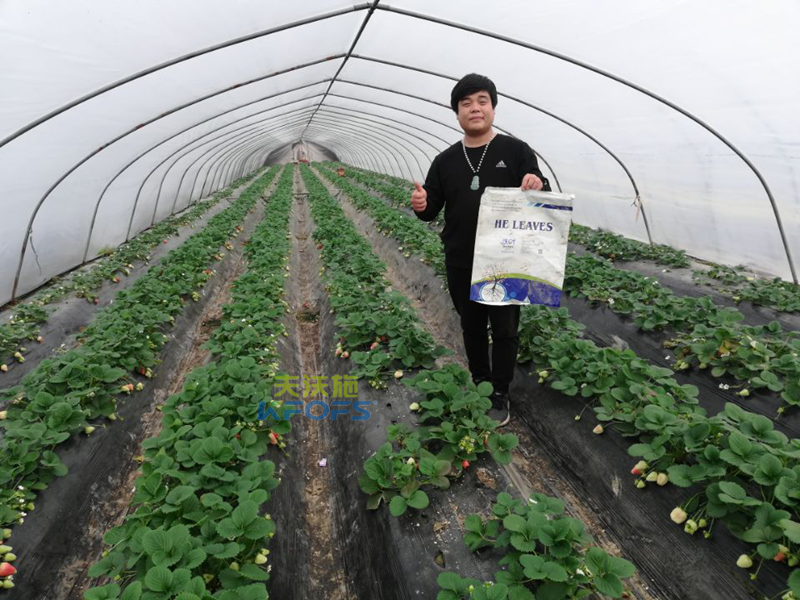 作物用肥，對(duì)食品安全的重要作用