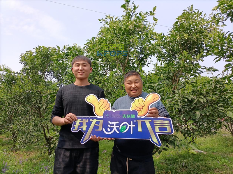 水溶肥廠家哪家好？張總認準夫沃施！