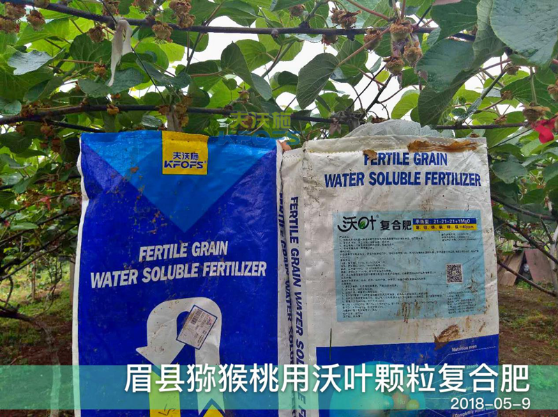 水溶肥在果樹上的使用-沃葉獼猴桃.png