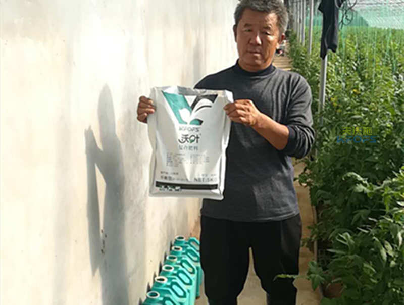 復合肥料哪種好？