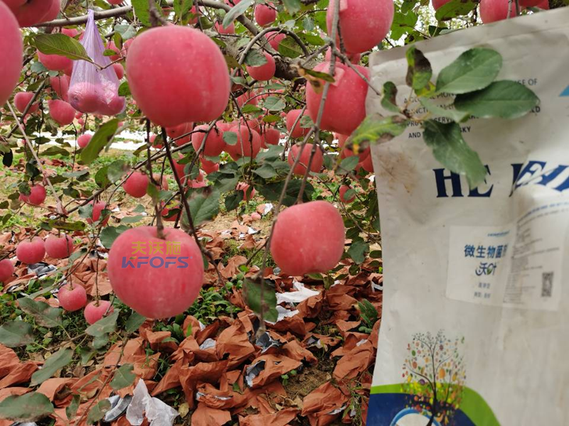 水溶肥-蘋(píng)果用沃葉微生物菌劑水溶肥_副本.png