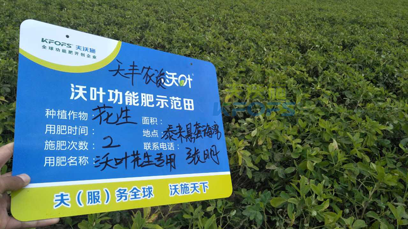 花生高產(chǎn)施肥技術(shù)!.png
