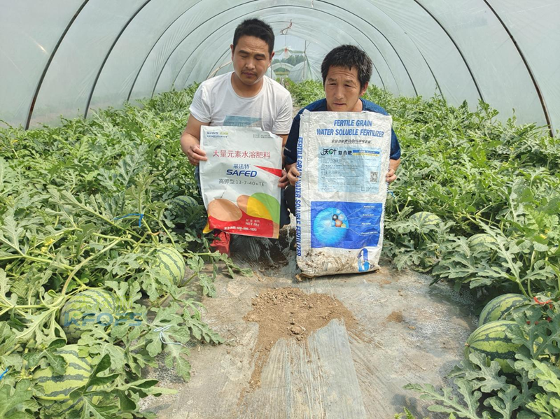 好點的水溶肥大概多少錢-采法特水溶肥.png