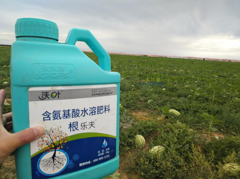 水溶肥-沃葉根樂(lè)夫生根水溶肥西瓜_副本.png