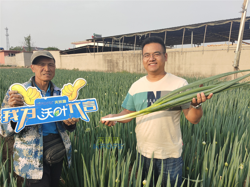 進(jìn)口水溶肥-沃葉進(jìn)口水溶肥用戶見證.png