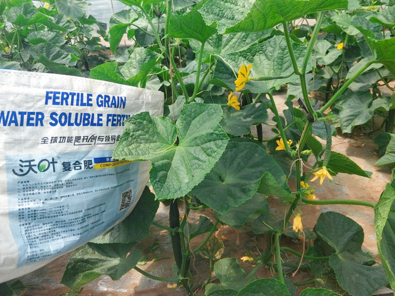 顆粒水溶肥有什么特點？