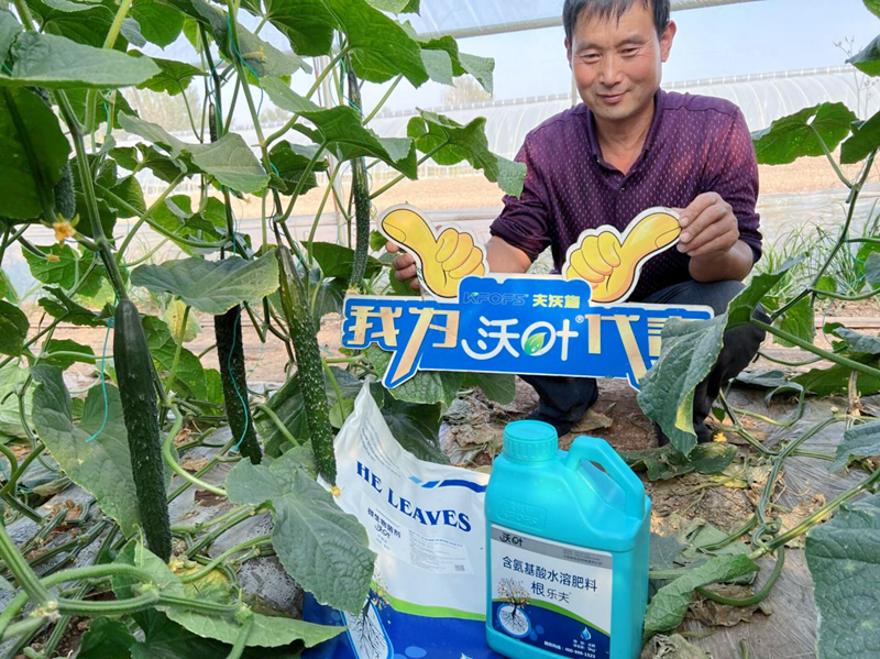 微生物菌劑越來(lái)越受歡迎的原因有哪些？