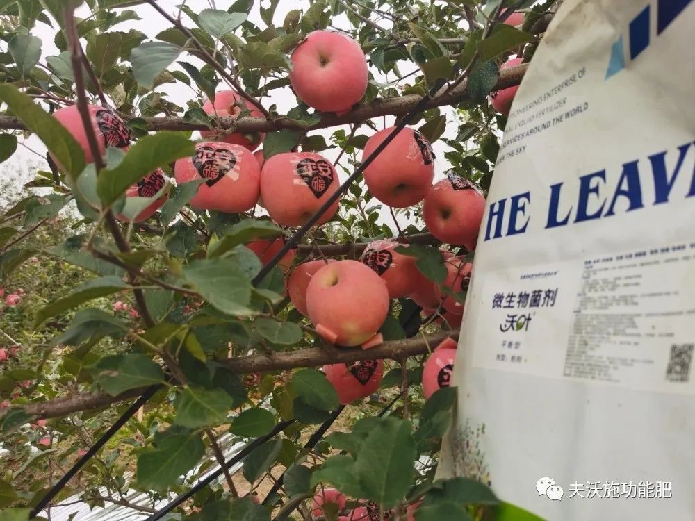 什么肥料能讓土壤變松？