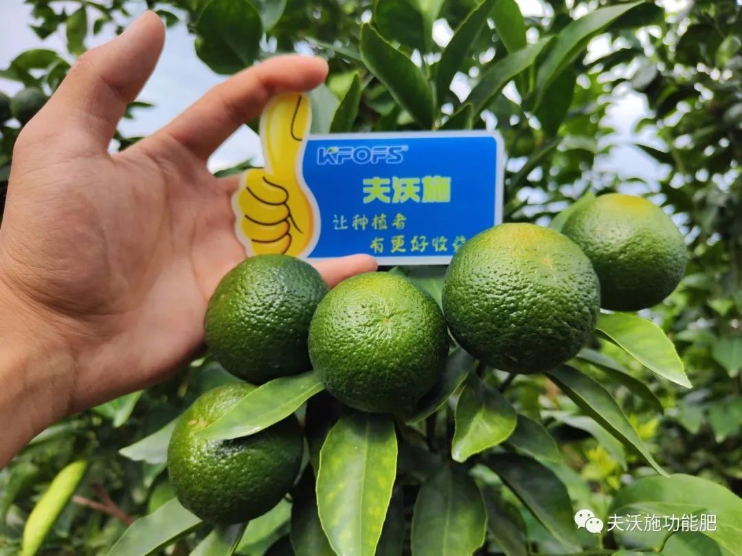 改善土壤板結(jié)用什么肥料？