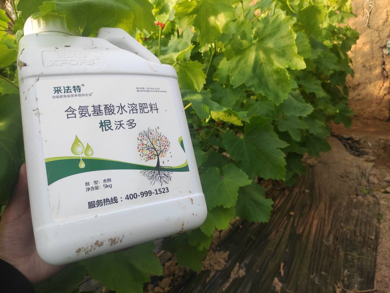 水溶肥選哪家？李總認可采法特