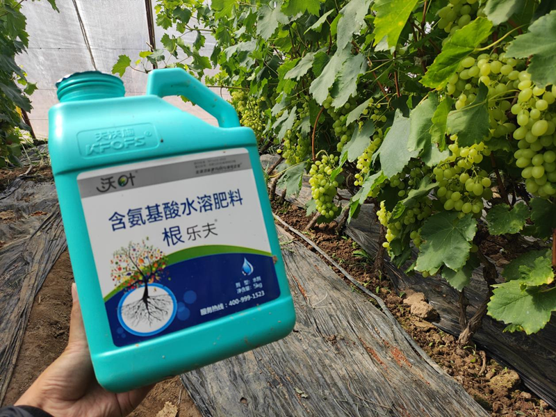 水溶肥選擇，要注意什么?