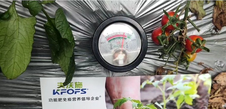 微生物菌劑，為什么被越來(lái)越多的人選擇？