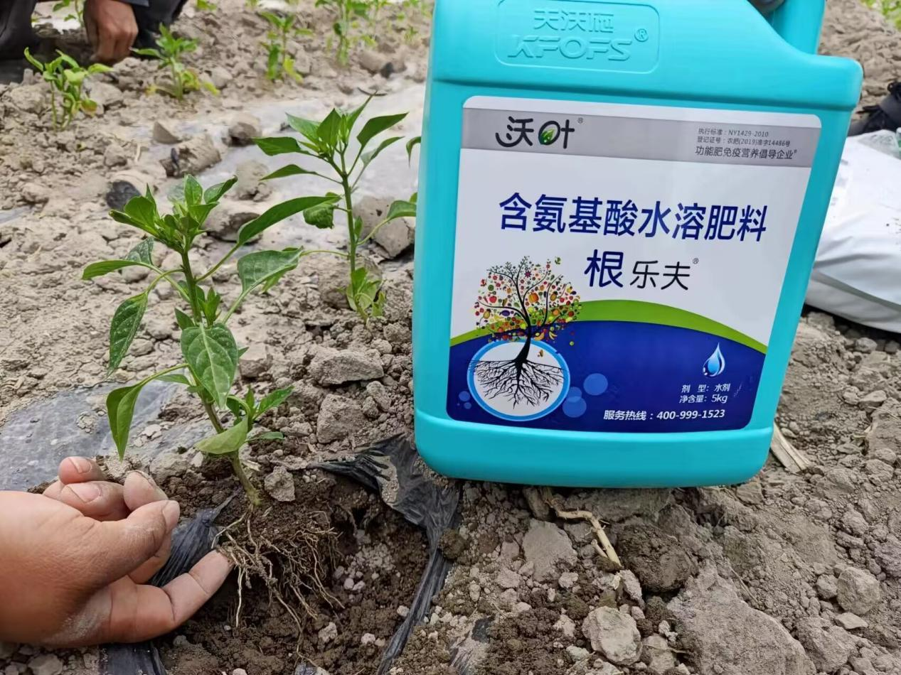 什么生根劑最好？看評價很高的這款