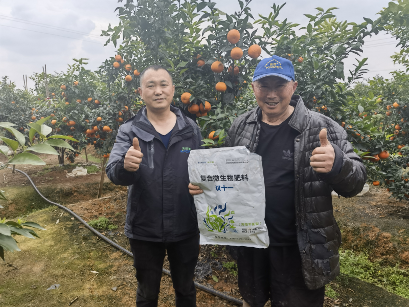 柑橘樹用什么肥料最佳？四川何大爺案例