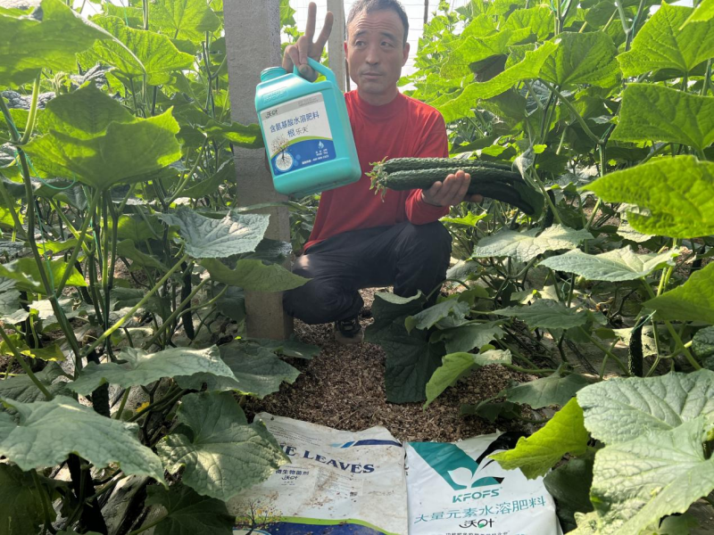 種植蔬菜用什么肥料最好？兩個解決，兩個方案